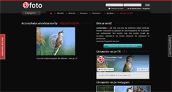 Desktop Screenshot of comunitatefoto.ro